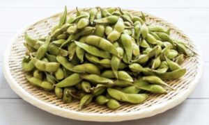収穫したての丹波篠山黒枝豆