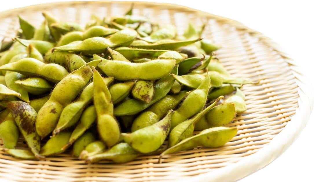 丹波篠山ひなたファーム 黒枝豆の畑