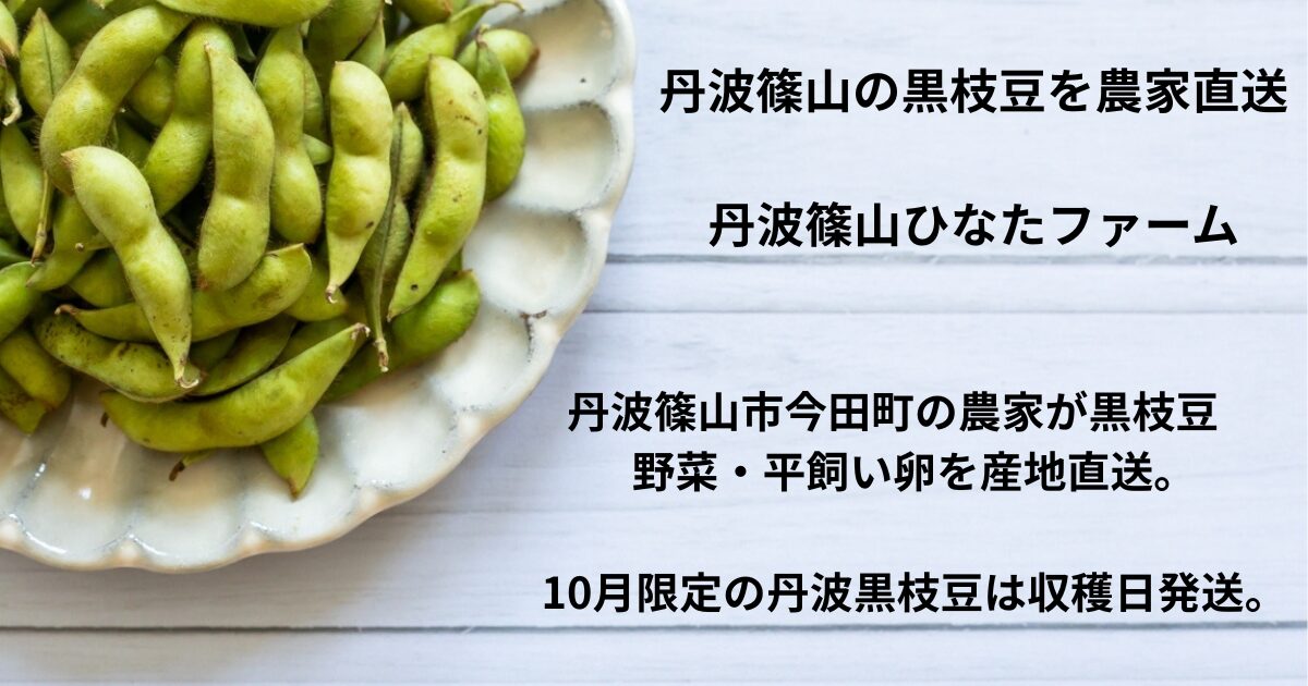 丹波篠山 黒枝豆｜2026年解禁日・農家直送の買い方｜ひなたファーム